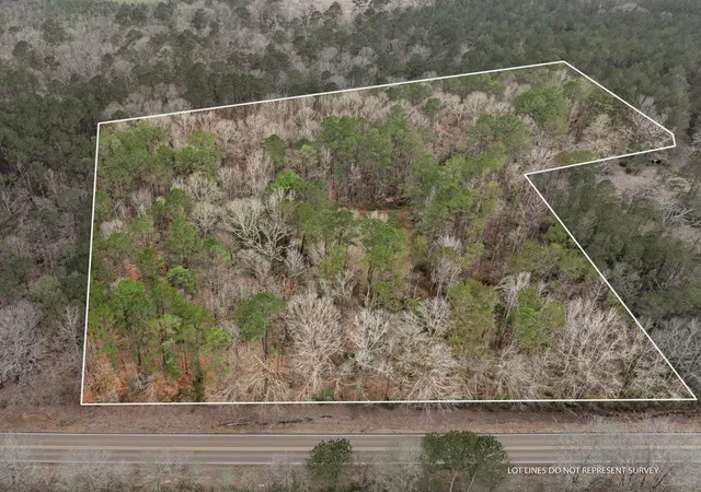 Photo 1 of Land for sale at 1 Highway 24, Liberty, MS 39645 | MLS# 144186 | Listing updated on 2026-10-15