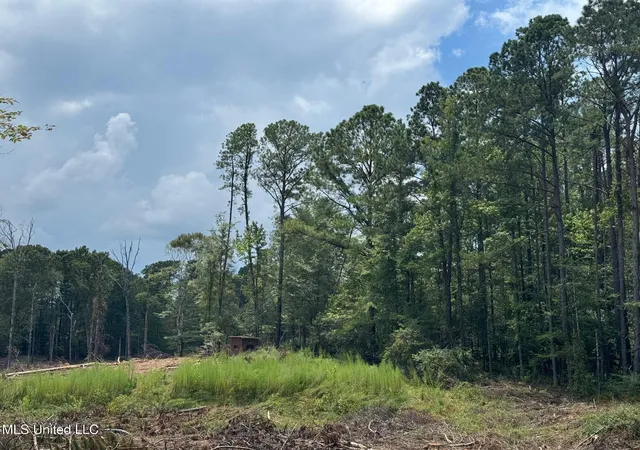 Photo 1 of Land for sale at 1 Highway 24, Liberty, MS 39645 | MLS# 144186 | Listing updated on 2026-10-15