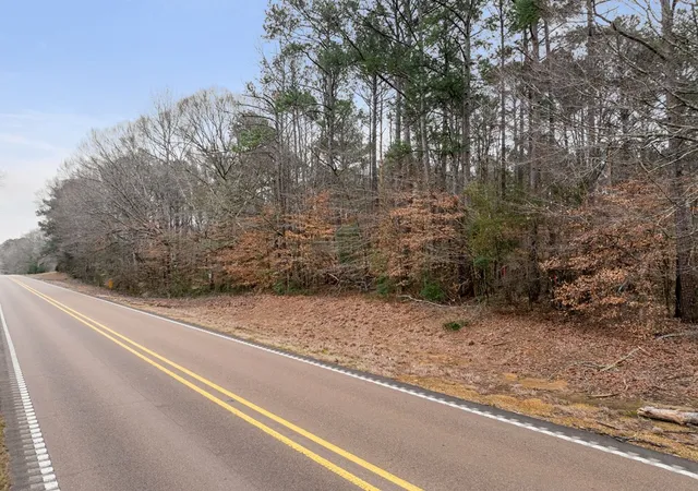 Photo 3 of Land for sale at 1 Highway 24, Liberty, MS 39645 | MLS# 144186 | Listing updated on 2026-10-15