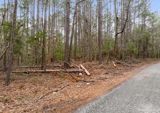 Photo 4 of Land for sale at 1 Highway 24, Liberty, MS 39645 | MLS# 144186 | Listing updated on 2026-10-15