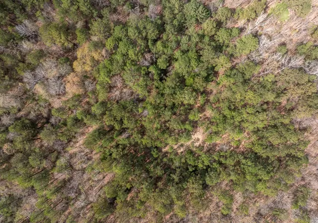Photo 3 of Land for sale at 2 Co Rd 16, Pachuta, MS 39347 | MLS# 144272 | Listing updated on 2026-09-04