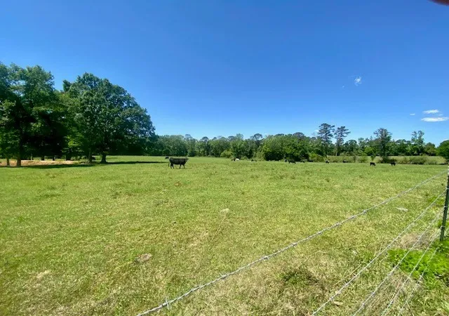 Homes for sale in Osyka, MS | 1079 Mt Herman Rd, Osyka, MS 39657 | MLS# 144422