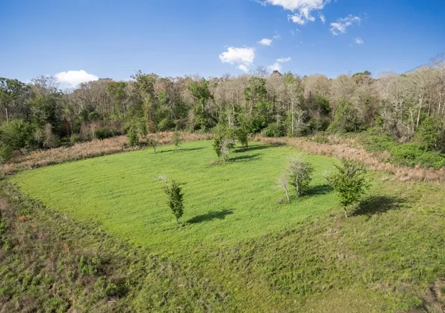 Photo 2 of Land for sale at 0 Red Bluff Church Rd, Greensburg, LA 70441 | MLS# 141022 | Listing updated on 2026-04-20