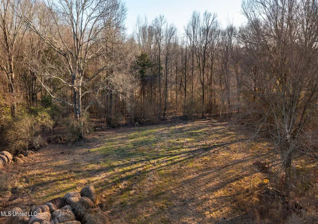 3rd image of 0 Mccullough Ln, Flora, MS 39071 | MLS# 4118761