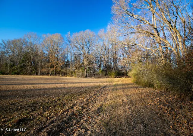 4th image of 0 Mccullough Ln, Flora, MS 39071 | MLS# 4118761