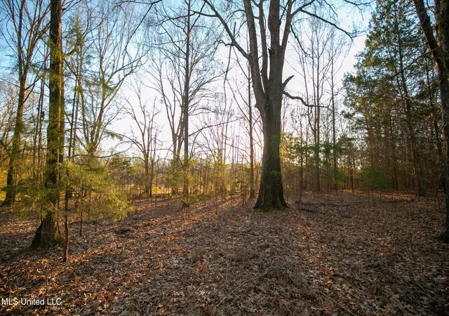 5th image of 0 Mccullough Ln, Flora, MS 39071 | MLS# 4118761