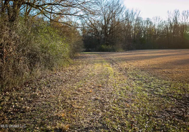 6th image of 0 Mccullough Ln, Flora, MS 39071 | MLS# 4118761
