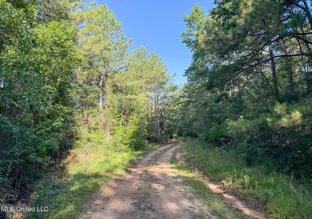 17th image of 275+/  J M Burge Rd, Hattiesburg, MS 39402 | MLS# 4119171