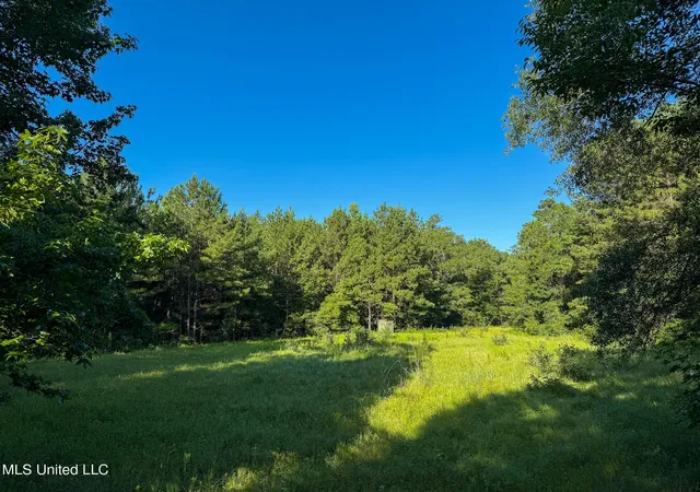 1st image of 275+/  J M Burge Rd, Hattiesburg, MS 39402 | MLS# 4119171