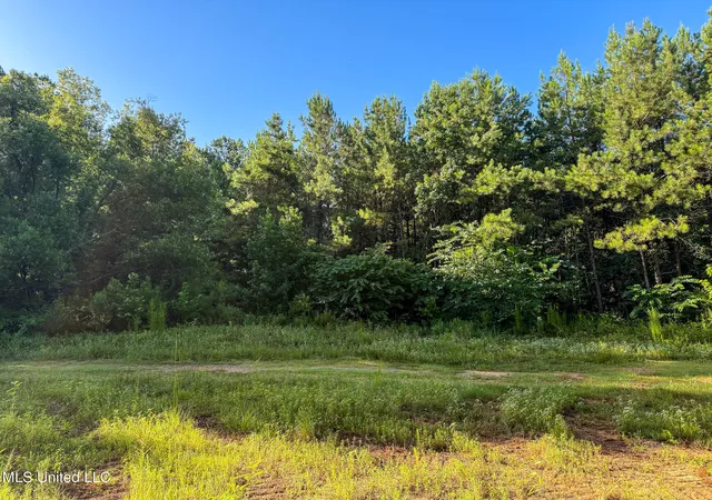 2nd image of 275+/  J M Burge Rd, Hattiesburg, MS 39402 | MLS# 4119171