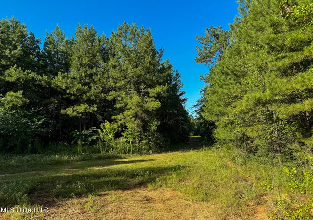 Photo 3 of Land for sale at 275+/  J M Burge Rd, Hattiesburg, MS 39402 | MLS# 4119171 | Listing updated on 2026-07-02