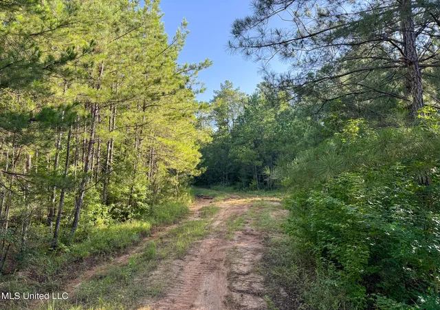 Photo 3 of Land for sale at 275+/- J M Burge Rd, Hattiesburg, MS 39402 | MLS# 4119171 | Listing updated on 2026-07-02