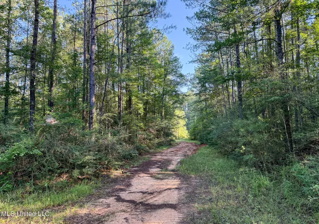 Photo 4 of Land for sale at 275+/- J M Burge Rd, Hattiesburg, MS 39402 | MLS# 4119171 | Listing updated on 2026-07-02