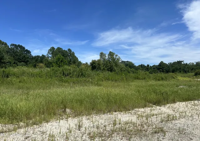 Photo 3 of Land for sale at 0 East St, Pascagoula, MS 39567 | MLS# 4119264 | Listing updated on 2026-03-30