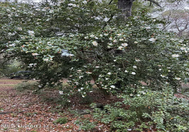Photo 3 of Sale Pending at 12 Zettel Rd, Ocean Springs, MS 39564 | MLS# 4119572 | Listing updated on 2026-06-19