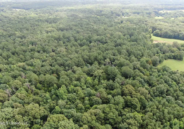 Photo 1 of Land for sale at 14495 Valley View, Byhalia, MS 38611 | MLS# 4119521 | Listing updated on 2026-06-29