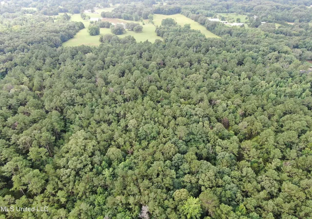 Photo 4 of Land for sale at 14495 Valley View, Byhalia, MS 38611 | MLS# 4119521 | Listing updated on 2026-06-29