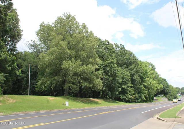 Photo 3 of Land for sale at 8654 Goodman Rd, Olive Branch, MS 38654 | MLS# 4119523 | Listing updated on 2026-06-29