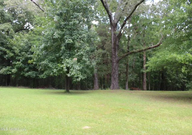 Photo 4 of Land for sale at 8654 Goodman Rd, Olive Branch, MS 38654 | MLS# 4119523 | Listing updated on 2026-06-29