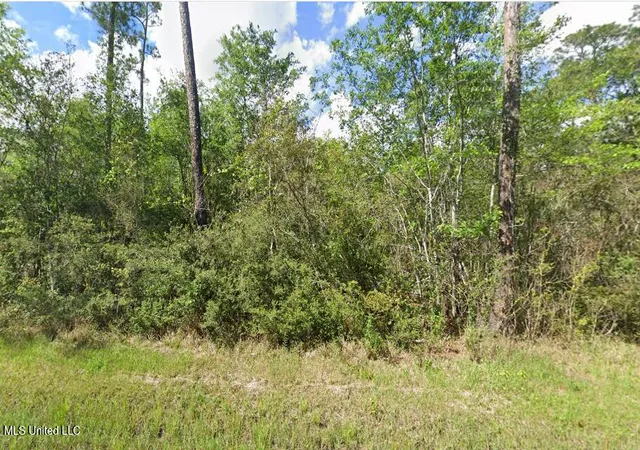 Homes for sale in Bay Saint Louis, MS | 0 Ivy Dr, Bay Saint Louis, MS 39520 | MLS# 4119554