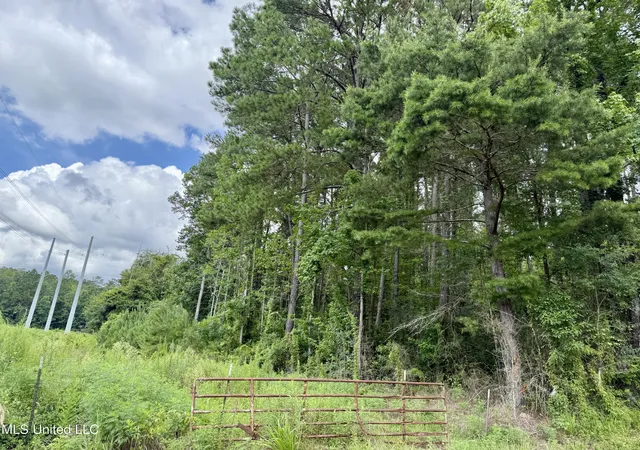 Homes for sale in Summit, MS | 2194 Hwy 570 E, Summit, MS 39666 | MLS# 4119643