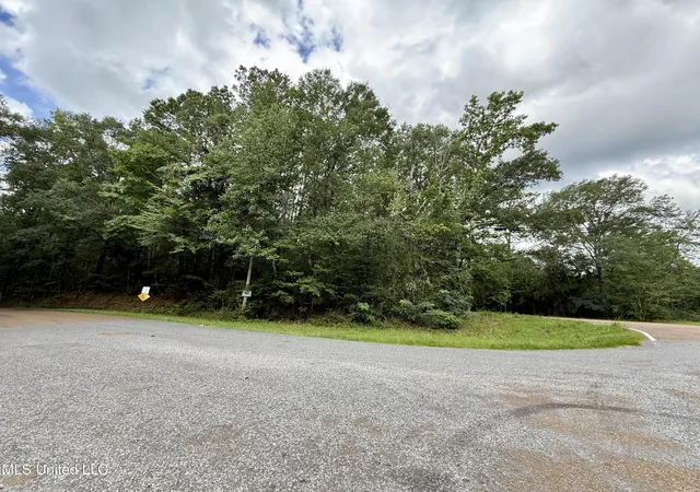 Homes for sale in Summit, MS | 2194 Hwy 570 E, Summit, MS 39666 | MLS# 4119643