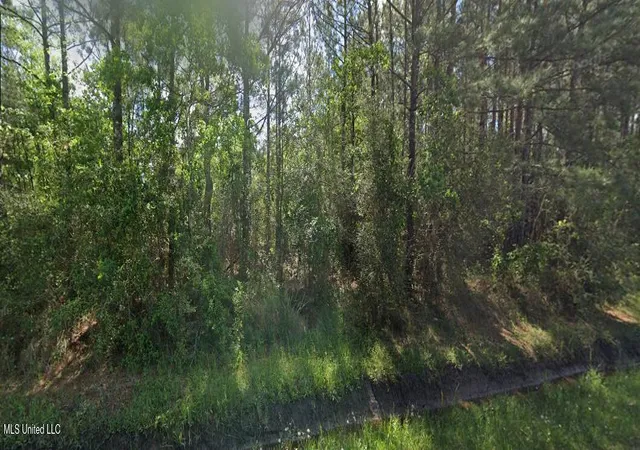 Homes for sale in Bay Saint Louis, MS | 0 Cameo St, Bay Saint Louis, MS 39520 | MLS# 4119901