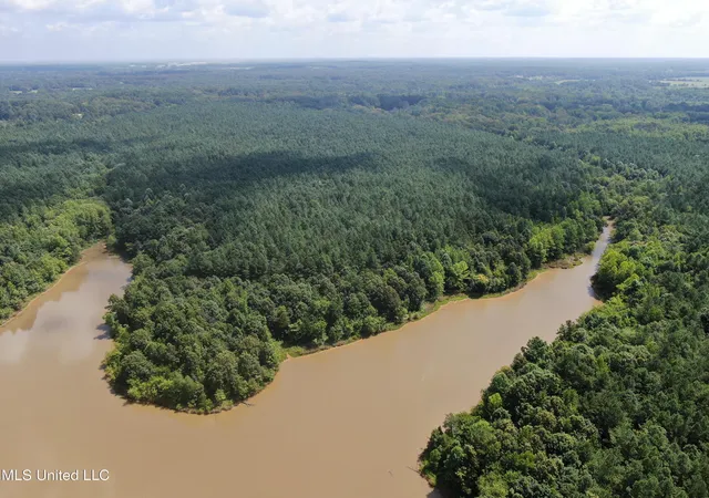 Photo 3 of Land for sale at 0 E Cox Rd, Byhalia, MS 38611 | MLS# 4120299 | Listing updated on 2026-07-28