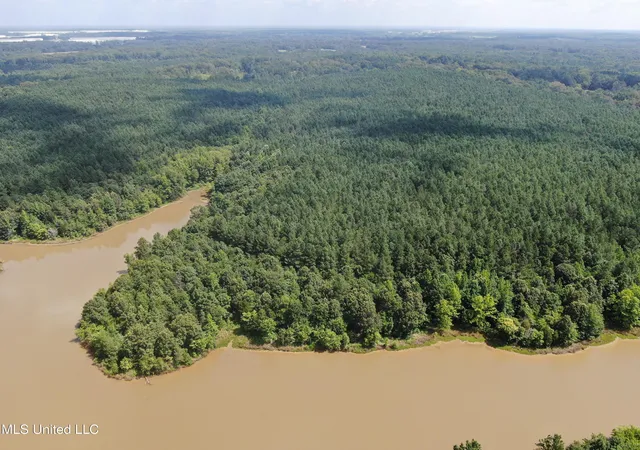 Photo 3 of Land for sale at 0 E Cox Rd, Byhalia, MS 38611 | MLS# 4120299 | Listing updated on 2026-07-28