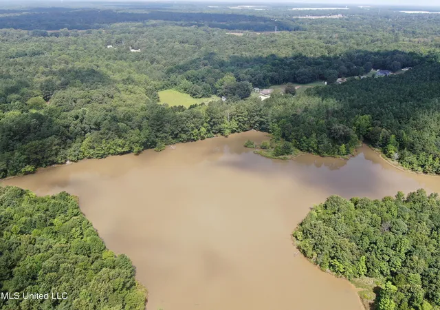 Photo 4 of Land for sale at 0 E Cox Rd, Byhalia, MS 38611 | MLS# 4120299 | Listing updated on 2026-07-28