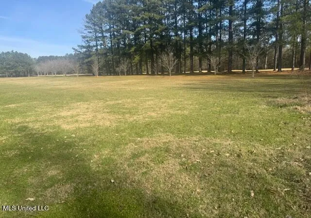 Homes for sale in Natchez, MS | Club Dr, Natchez, MS 39120 | MLS# 4121451