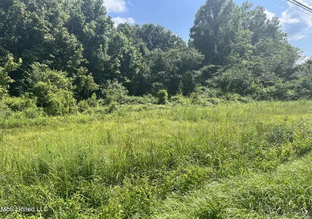 4th image of 580 Hwy 61 North, Natchez, MS 39120 | MLS# 4121652