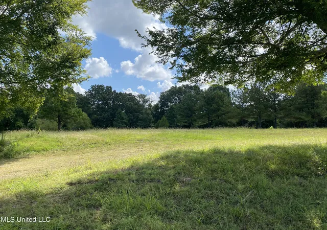 1st image of 6826 Payne Ln Ln, Olive Branch, MS 38654 | MLS# 4122183