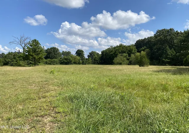 2nd image of 6826 Payne Ln Ln, Olive Branch, MS 38654 | MLS# 4122183