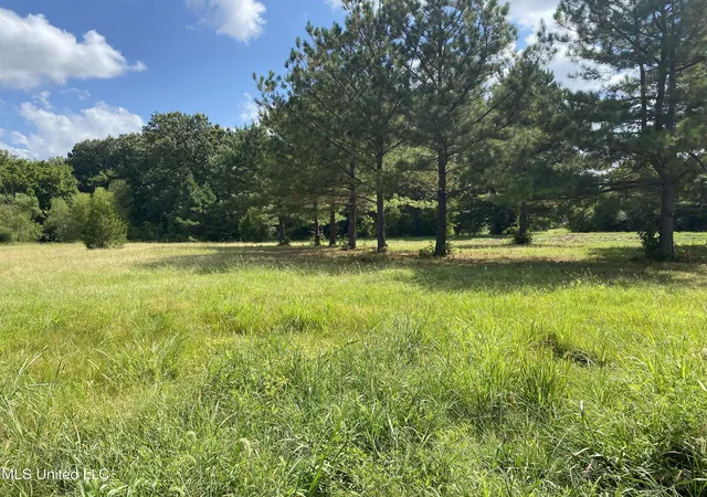 Photo 3 of Sale Pending at 6826 Payne Ln Ln, Olive Branch, MS 38654 | MLS# 4122183 | Listing updated on 2026-09-22