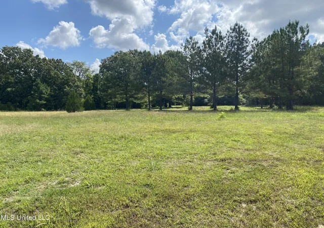 5th image of 6826 Payne Ln Ln, Olive Branch, MS 38654 | MLS# 4122183