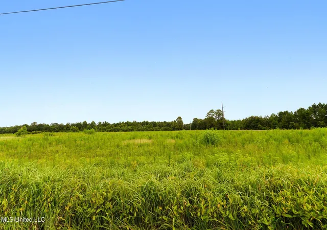1st image of 29 Acres Hwy 613, Lucedale, MS 39452 | MLS# 4122327