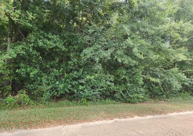 2nd image of 000 Old Byram Rd, Jackson, MS 39212 | MLS# 4122391
