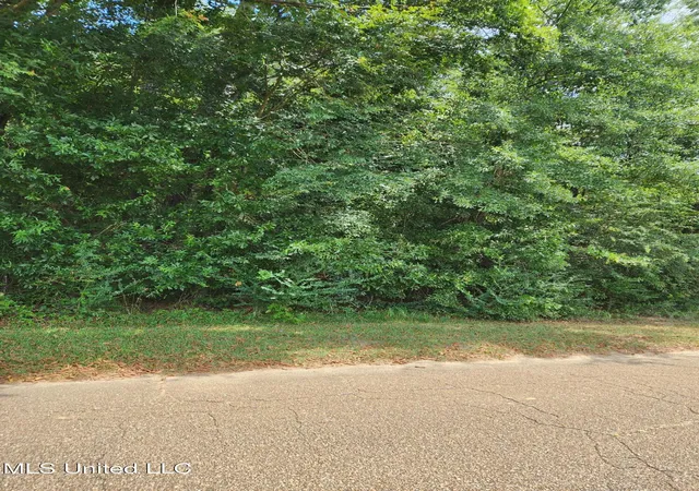 Photo 3 of Land for sale at 000 Old Byram Rd, Jackson, MS 39212 | MLS# 4122391 | Listing updated on 2026-08-21