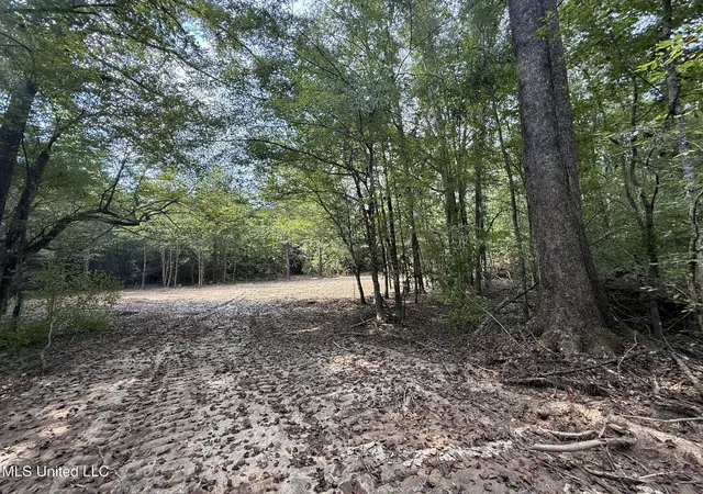 Homes for sale in Smithdale, MS | Sw Dalton Ln, Smithdale, MS 39664 | MLS# 4125947