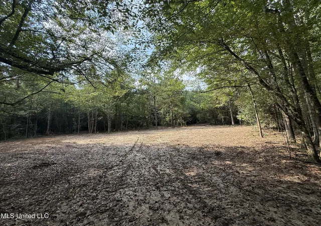 Homes for sale in Smithdale, MS | Sw Dalton Ln, Smithdale, MS 39664 | MLS# 4125947