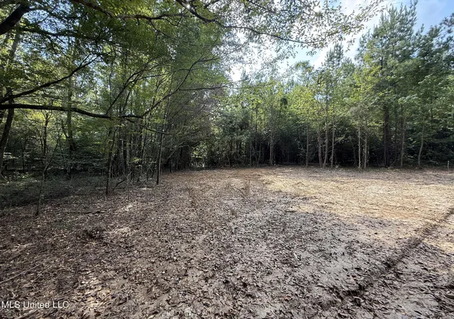 Homes for sale in Smithdale, MS | Sw Dalton Ln, Smithdale, MS 39664 | MLS# 4125947