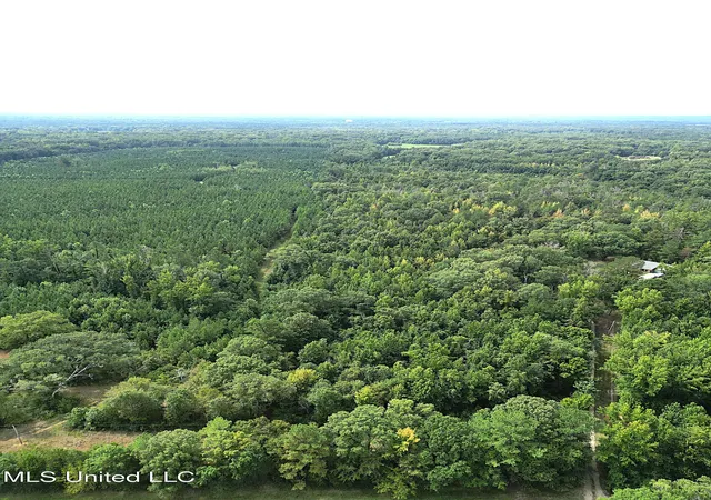Photo 3 of Land for sale at 0 Kennebrew Rd, Jackson, MS 39209 | MLS# 4122791 | Listing updated on 2026-09-10