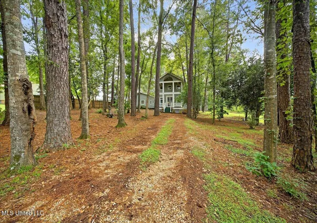 2nd image of 4197 Hwy 48, Mc Comb, MS 39648 | MLS# 4122939