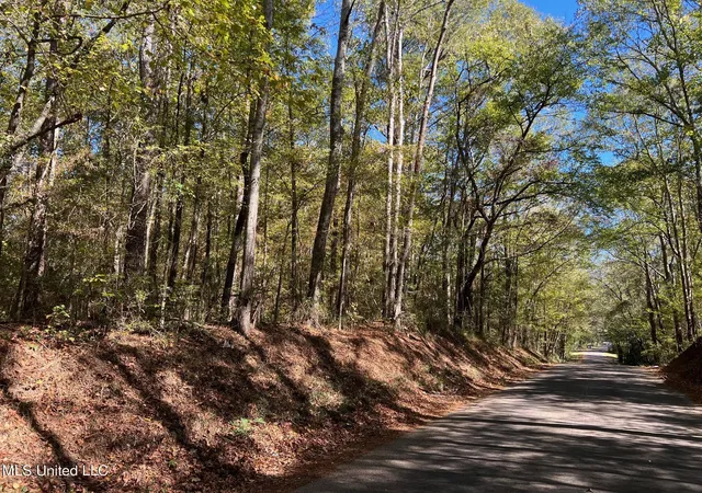 Photo 1 of Sale Pending at Xxx W A Walker Rd, Mc Comb, MS 39648 | MLS# 4123196 | Listing updated on 2026-03-30