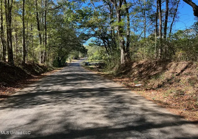 Photo 2 of Sale Pending at Xxx W A Walker Rd, Mc Comb, MS 39648 | MLS# 4123196 | Listing updated on 2026-03-30