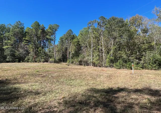 Photo 3 of Sale Pending at Xxx W A Walker Rd, Mc Comb, MS 39648 | MLS# 4123196 | Listing updated on 2026-03-30