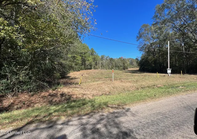 Photo 3 of Sale Pending at Xxx W A Walker Rd, Mc Comb, MS 39648 | MLS# 4123196 | Listing updated on 2026-03-30