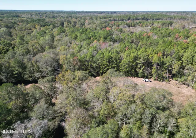 Photo 4 of Sale Pending at Xxx W A Walker Rd, Mc Comb, MS 39648 | MLS# 4123196 | Listing updated on 2026-03-30