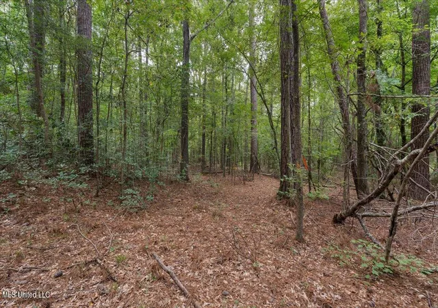 1st image of 1270 Hwy 469, Pearl, MS 39208 | MLS# 4123314